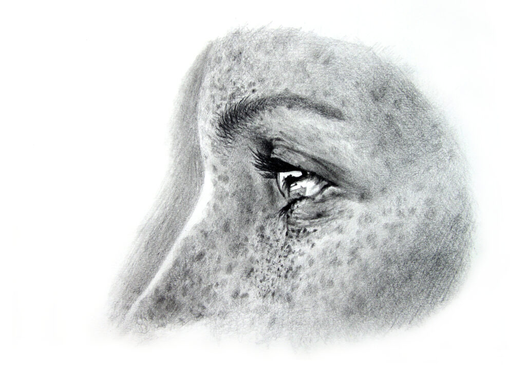 Woman drawn in pencil with freckles